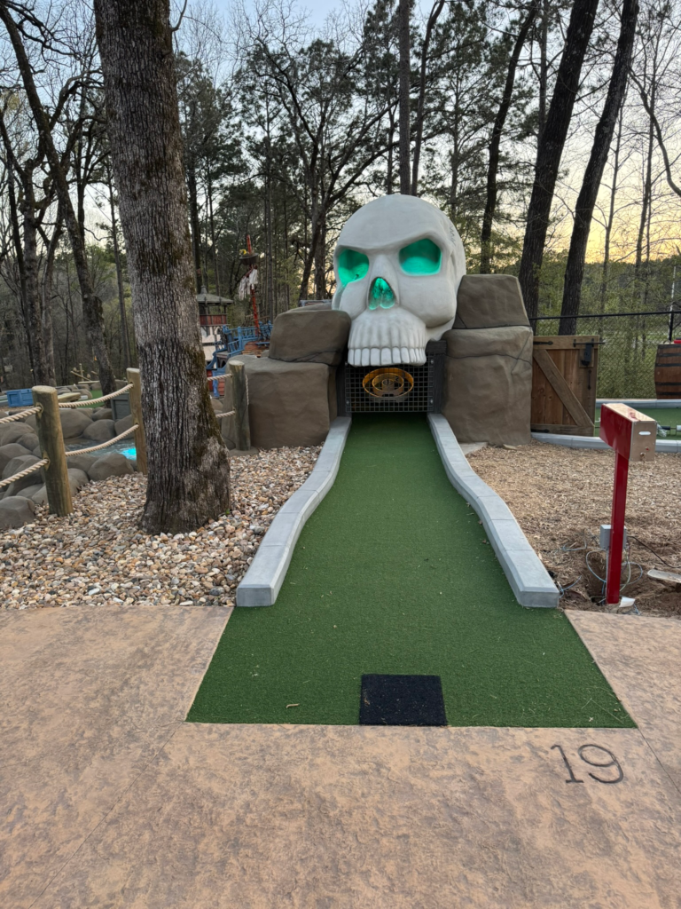 Dark Woods Adventure Park project photo