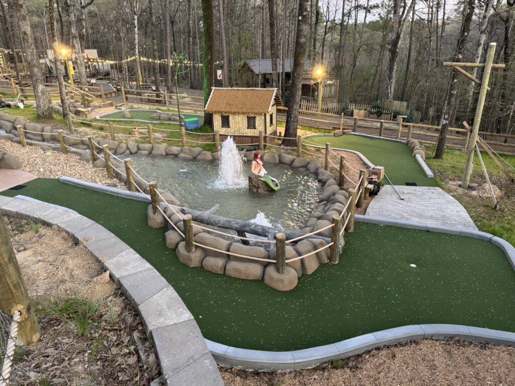 Dark Woods Adventure Park project photo