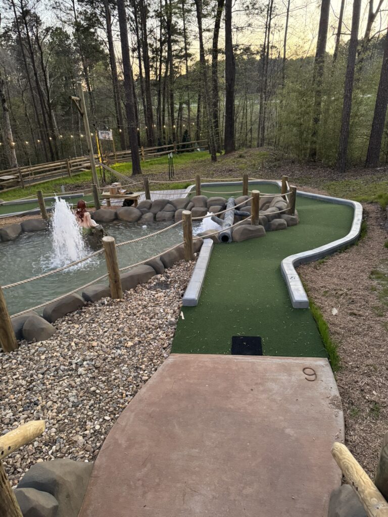 Dark Woods Adventure Park project photo