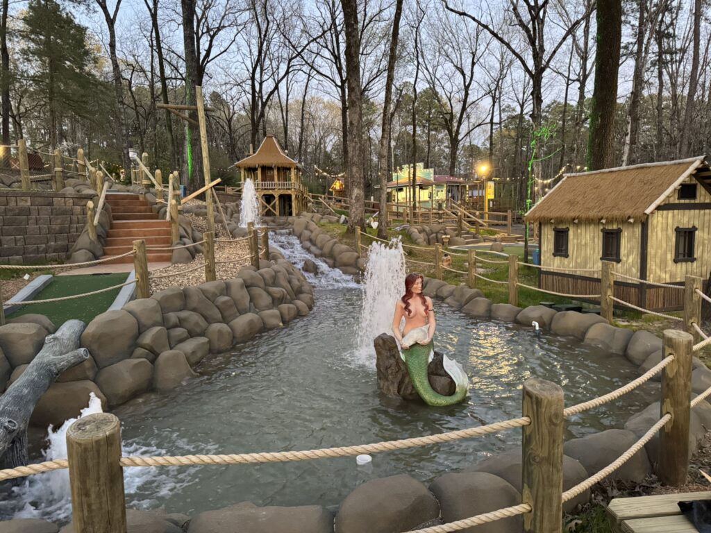 Dark Woods Adventure Park project photo