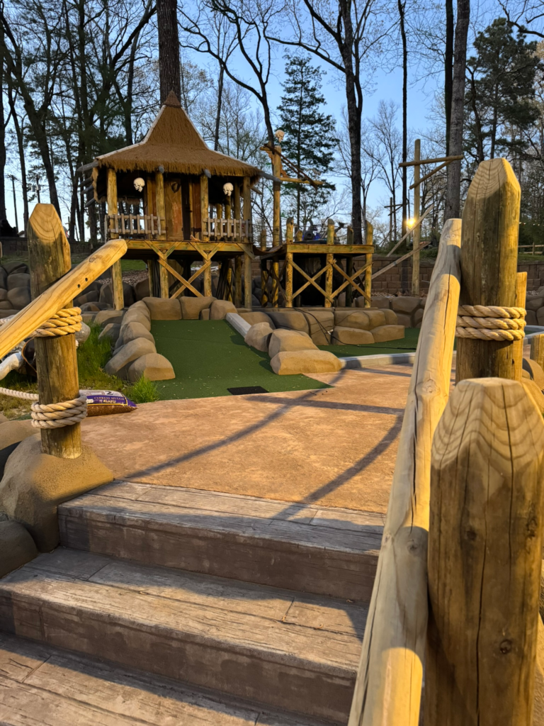 Dark Woods Adventure Park project photo
