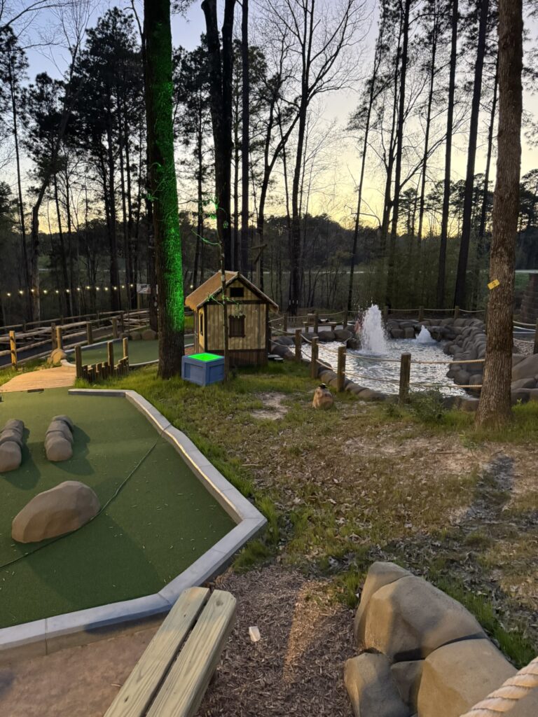 Dark Woods Adventure Park project photo