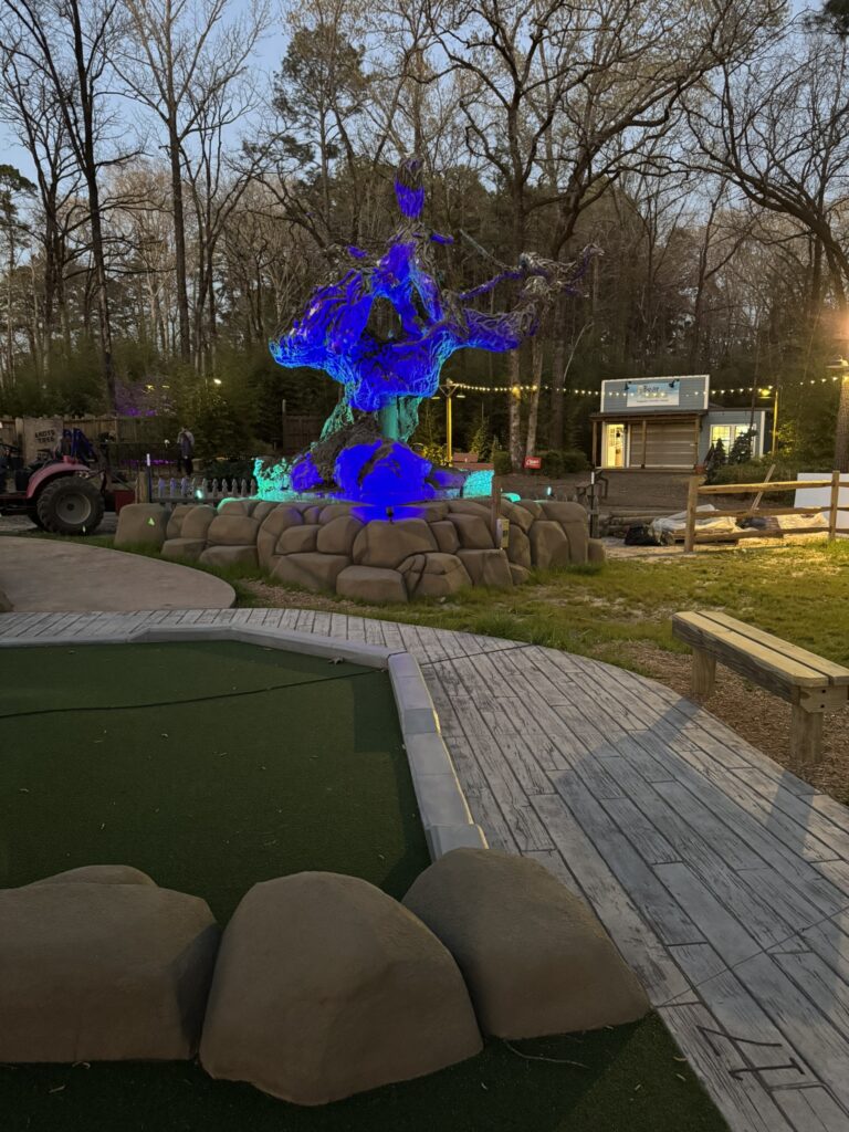 Dark Woods Adventure Park project photo