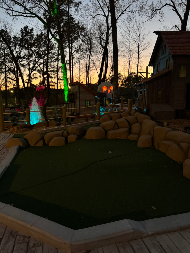 Dark Woods Adventure Park project photo