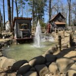 Dark Woods Adventure Park