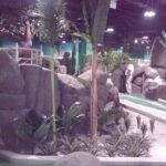 Jungle Rumble