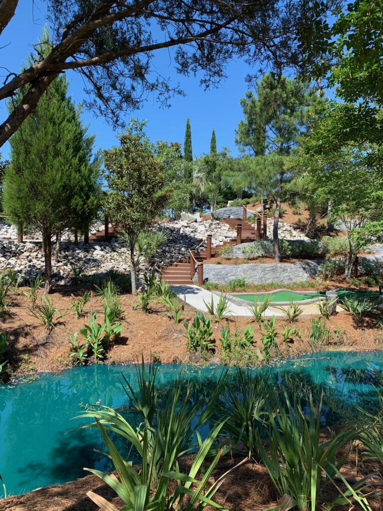 Frankies Fun Park project photo