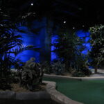 Rainforest Adventure Golf
