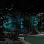 Rainforest Adventure Golf