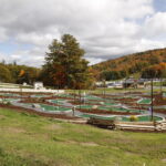Mt. Sunapee Resort